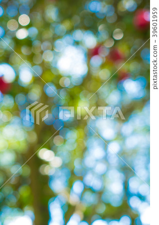 散景材料 散景材料 39601959