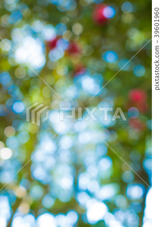Bokeh material 39601960