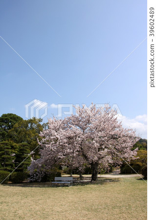 Mouri花園 39602489