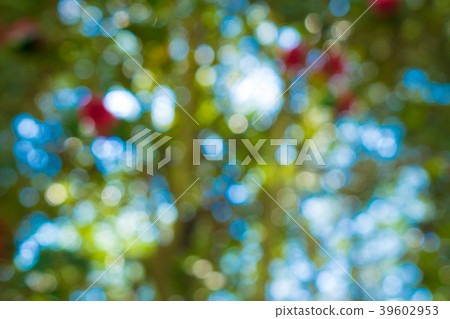 散景材料 散景材料 39602953