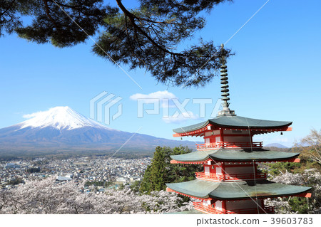 Shin Kurayama's Tadaiki Pagoda and Full Bloom Cherry Blossoms (Yamanashi Prefecture) Shin Kurayama's Tadaiki Pagoda and Full Bloom Cherry Blossoms (Yamanashi Prefecture) 39603783