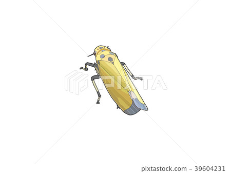 Tsunagogyo Oshoko 39604231