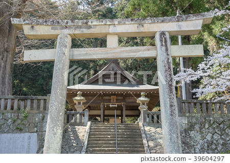 Moriyama Hachimangu Shrine in spring Moriyama Hachimangu Shrine in spring 39604297