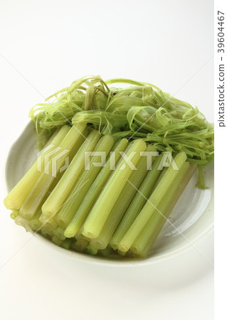 剝殼的蜂斗菜 39604467