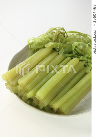 剝殼的蜂斗菜 39604469