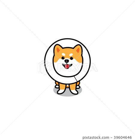 Funny dog wearing elizabethan collar Funny dog wearing elizabethan collar 39604646
