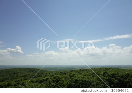 夏天的釧路濕地_北海道 夏天的釧路濕地_北海道 39604651