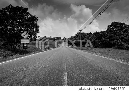 Endless straight road running through the forest  39605261