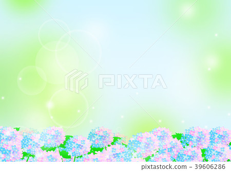 Hydrangea and the sky of the forest After the rain 39606286
