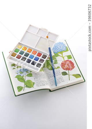 draw a picture 39606732