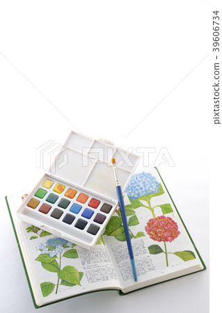 draw a picture 39606734