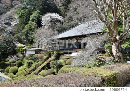 Kinuunji Temple Kinuunji Temple 39606754