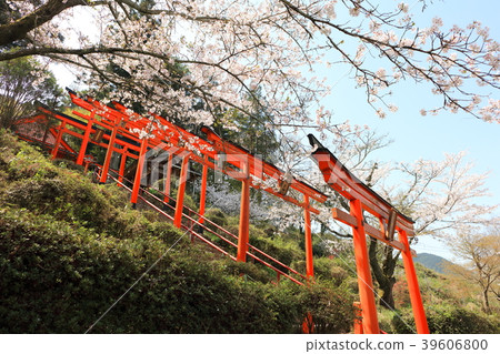 Ukiha Inari Shrine Ukiha City, Fukuoka Prefecture _ Ukiha Town _ Red Torii 39606800