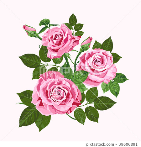 Pink roses bouquet isolated on the white Pink roses bouquet isolated on the white 39606891