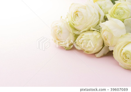 White roses 39607089