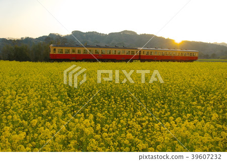 回到家裡 回到家裡 39607232