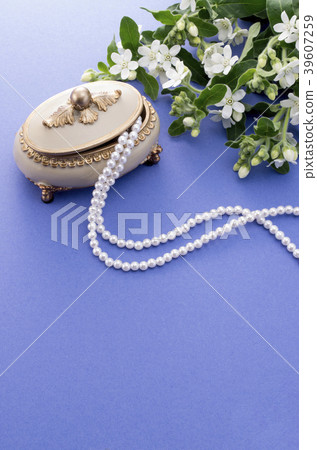 Women's Accessories 39607259