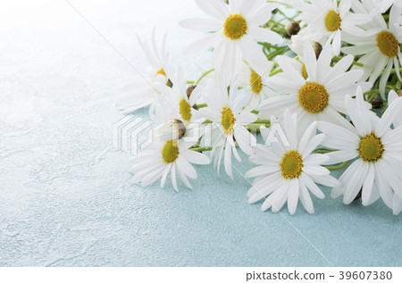 Margaret Margaret 39607380