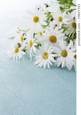 Margaret Margaret 39607383