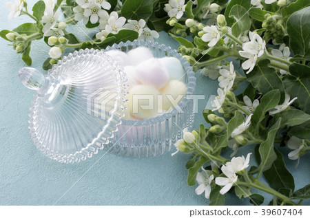 Women's Accessories 39607404