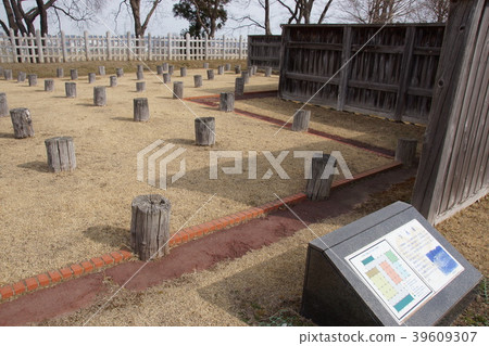 Negishi Negishi 39609307