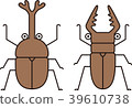 Illustrations of beetle and stag beetle 39610738