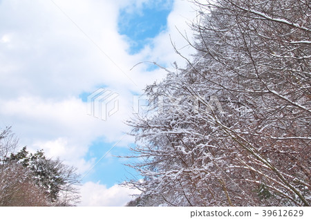 雪域景觀山野 雪域景觀山野 39612629