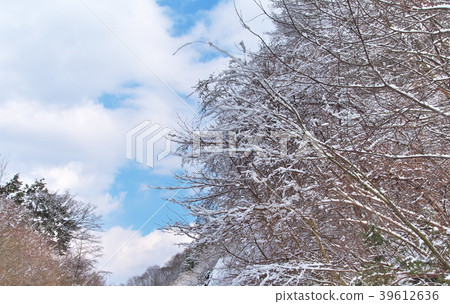雪域景觀山野 39612636