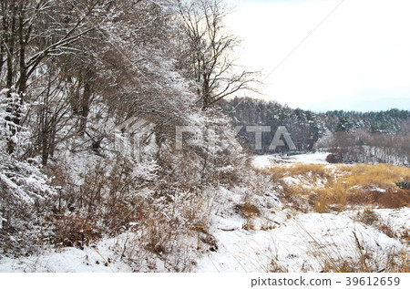 雪域景觀山野 39612659