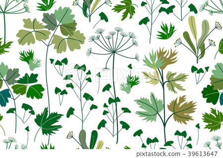 Summer herbs, flowers and branches. Summer herbs, flowers and branches. 39613647