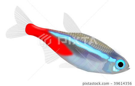 霓虹燈四 39614356