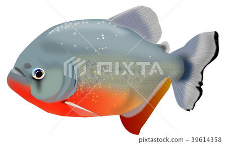 食人魚Nutley 食人魚Nutley 39614358