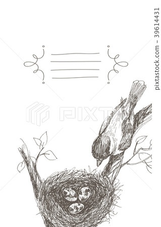 Vector illustration of hand drawn nest with Vector illustration of hand drawn nest with 39614431