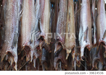 角膜白斑棒乾燥圖像素材 39614536