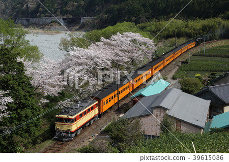 Oigawa Railway E31 Electric Locomotive Tow Passenger Car Oigawa Railway E31 Electric Locomotive Tow Passenger Car 39615086