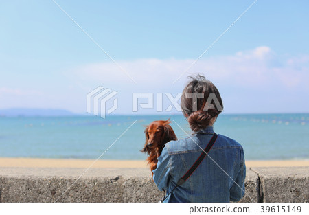 Dachshund enjoying the sea 39615149