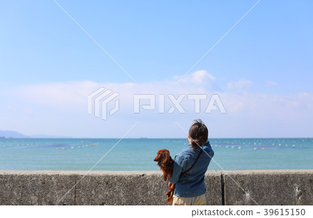 臘腸犬享受大海 臘腸犬享受大海 39615150