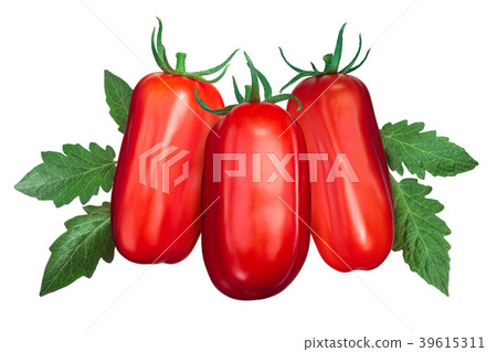 Scatolone S.Marzano tomatoes with leaves Scatolone S.Marzano tomatoes with leaves 39615311
