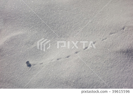 滾雪球冬天的自然現象材料 39615596