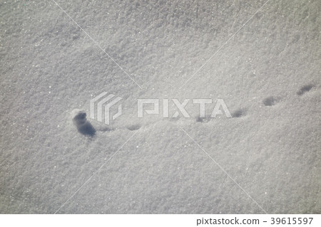 滾雪球冬天的自然現象材料 39615597