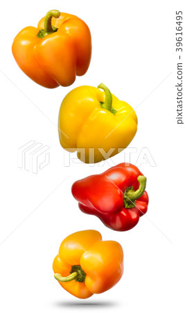 Falling bell peppers isolated on white background Falling bell peppers isolated on white background 39616495