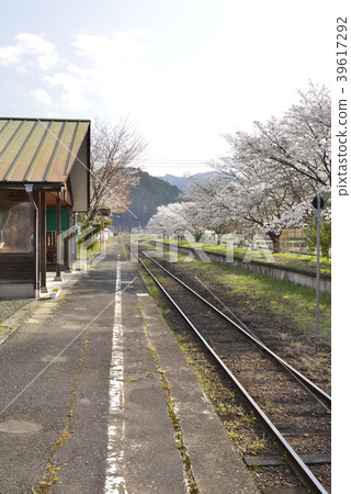 Scenery of spring in the countryside station (JR West Nipponhime Shinsen Tsukita Station) Scenery of spring in the countryside station (JR West Nipponhime Shinsen Tsukita Station) 39617292