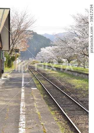 Scenery of spring in the countryside station (JR West Nipponhime Shinsen Tsukita Station) Scenery of spring in the countryside station (JR West Nipponhime Shinsen Tsukita Station) 39617294