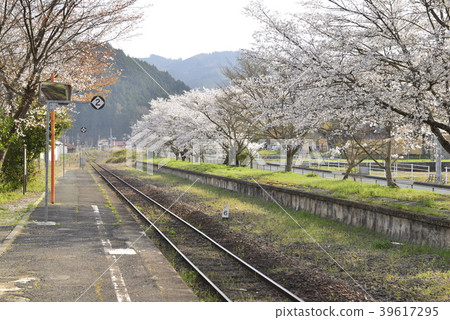 農村車站(JR西日本天神新站田地站)的春天的風景 農村車站(JR西日本天神新站田地站)的春天的風景 39617295