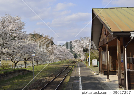 農村車站(JR西日本天神新站田地站)的春天的風景 農村車站(JR西日本天神新站田地站)的春天的風景 39617297