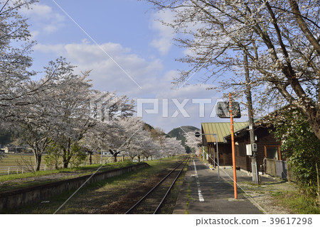 農村車站(JR西日本天神新站田地站)的春天的風景 農村車站(JR西日本天神新站田地站)的春天的風景 39617298