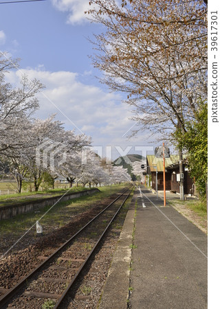 農村車站(JR西日本天神新站田地站)的春天的風景 農村車站(JR西日本天神新站田地站)的春天的風景 39617301