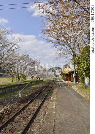 農村車站(JR西日本天神新站田地站)的春天的風景 農村車站(JR西日本天神新站田地站)的春天的風景 39617302