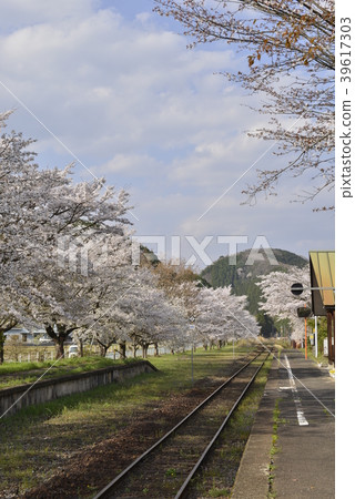 農村車站(JR西日本天神新站田地站)的春天的風景 農村車站(JR西日本天神新站田地站)的春天的風景 39617303