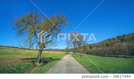 Landscape view to the rural countryside in spring Landscape view to the rural countryside in spring 39617444